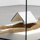 A dos de cheval avec le peintre