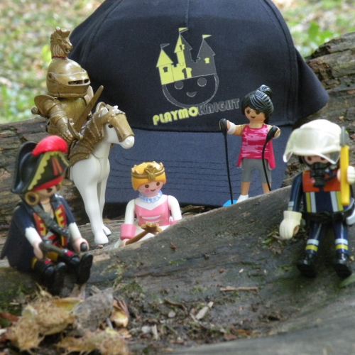 Expo-vente Playmobil à Oullins