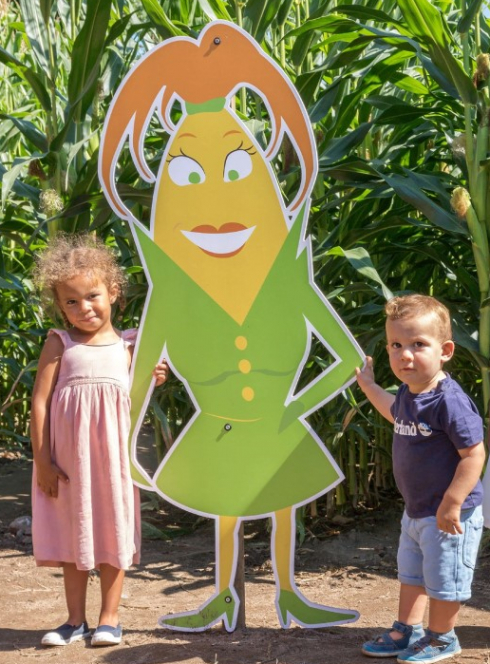 Pop Corn Labyrinthe - Rennes