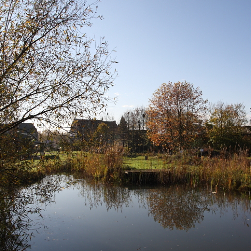 Le jardin en automne