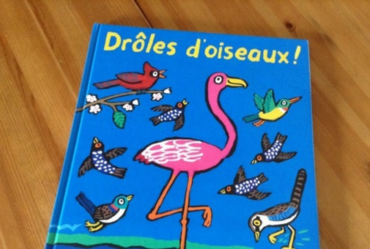 Drôles d'oiseaux - Lucy Cousins