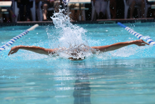Piscine de Fives : Papillon