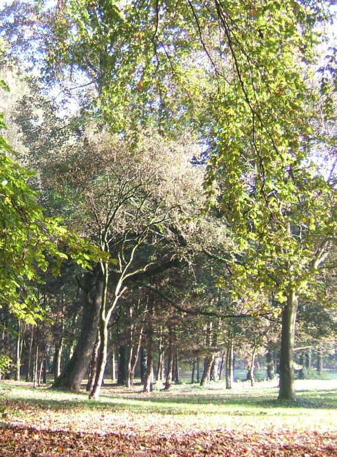Le domaine du Vert-Bois