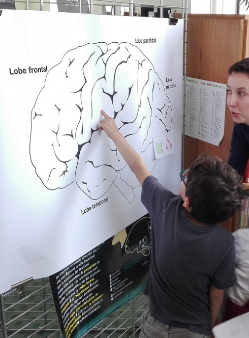 Semaine du cerveau 2019 - Paris