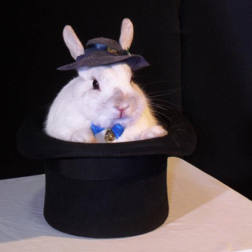 Rémi Ladoré : magicien pour anniversaire