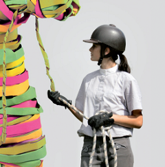 Cavales d'automne 2015