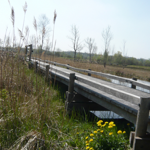 Espace naturel sensible du marais d'Episy