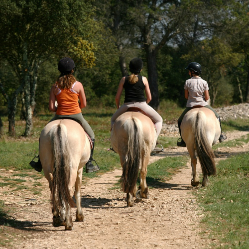 Fête des Jeunes Agriculteurs : Une balade à poney en famille