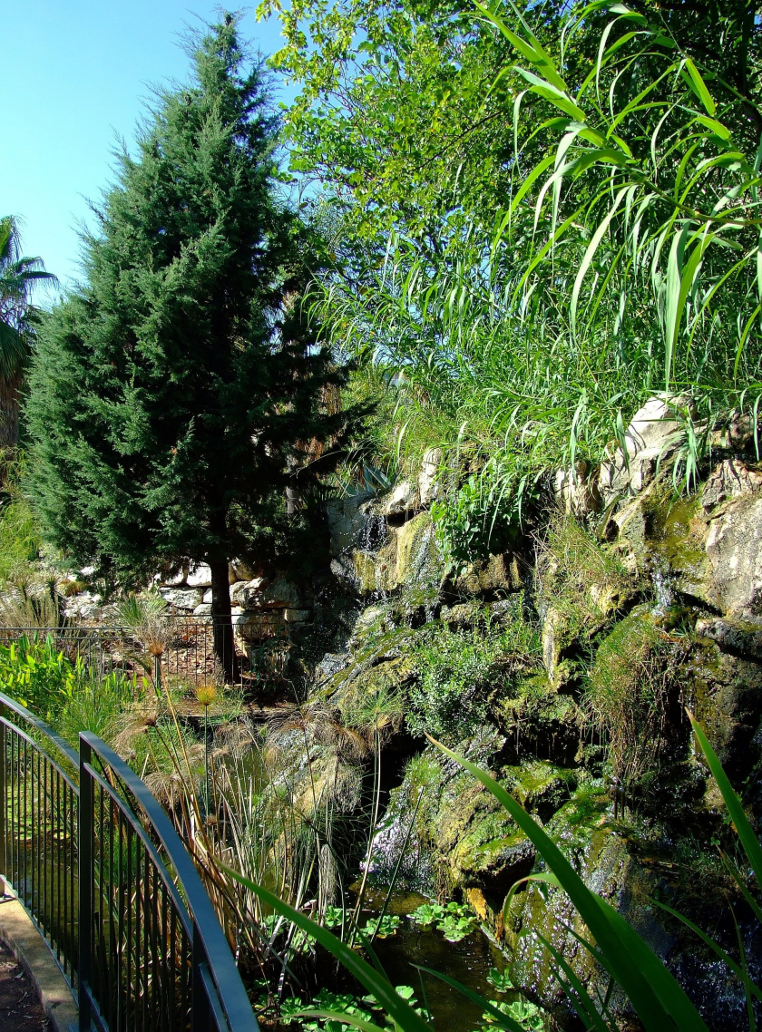Jardin Botanique de Nice, promenade et découverte des végétaux