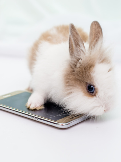 Top des applis enfants de Pâques