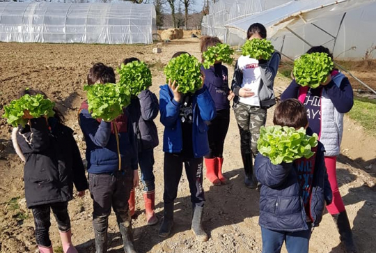 Domaine d'Écoline (Bordeaux)