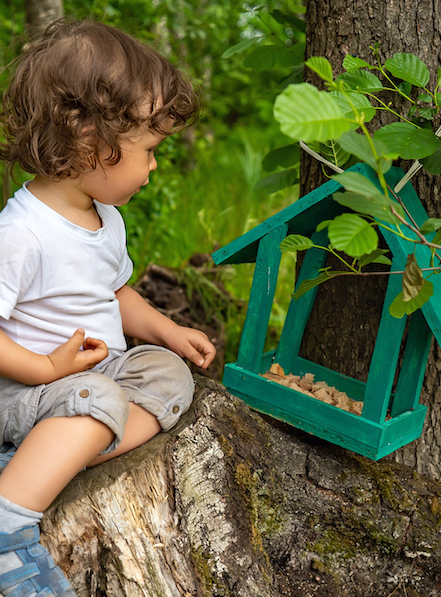 Enfant et nichoir pour oiseaux