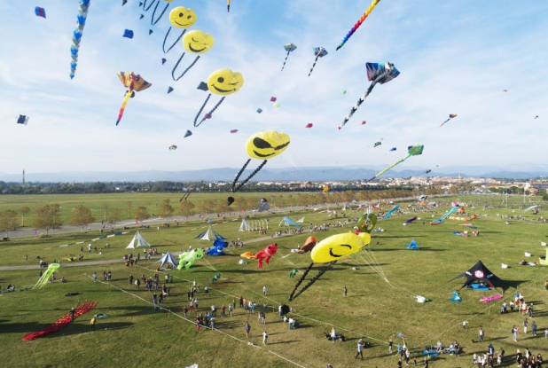 Festival International de l'Air - Voltige