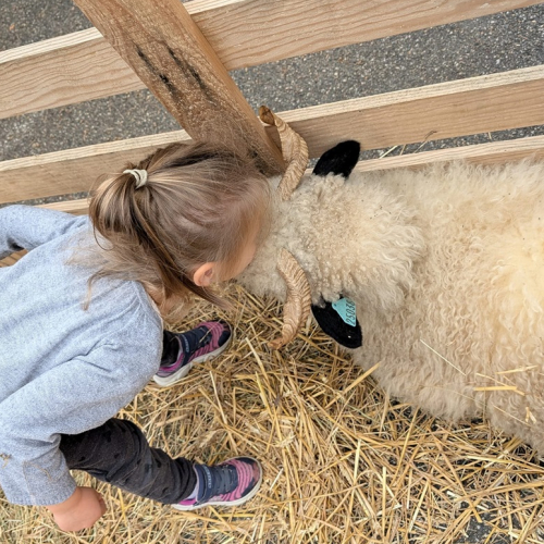 La Patte sur le Feel