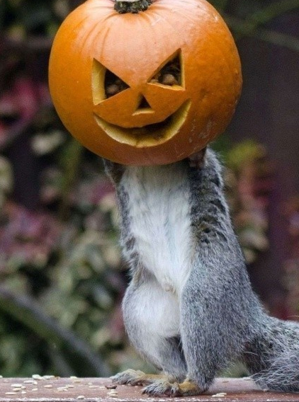 Halloween Parc zoologique de Paris