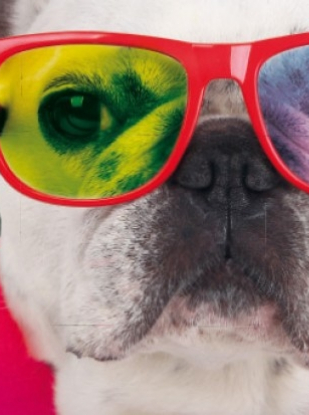 Les Couleurs de l'Univers