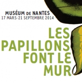 Les Papillons font le mur