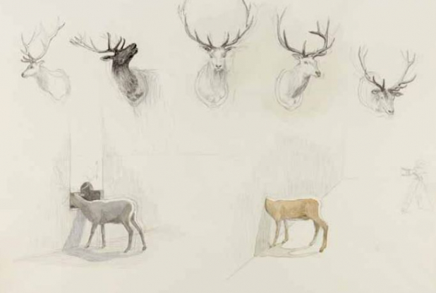 Study related to the film The Trophy