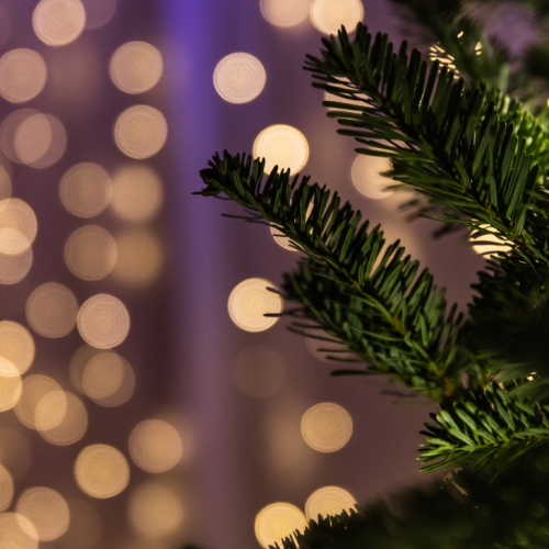 Les Éclats de Noël à Cita-Parc