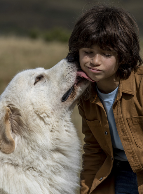 Belle et Sébastien : Nouvelle génération