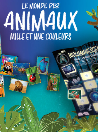 Gagnez des stickers PANINI "Animaux"