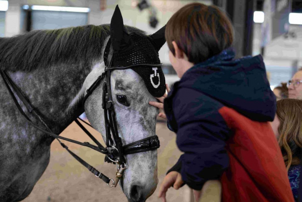 Jumping de Bordeaux : un enfant carresse un cheval