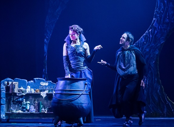 Raiponce et le prince aventurier - Guillaume Bauchède