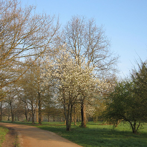 Le Domaine de Lacroix-Laval