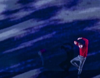 Plein les mirettes #7 - La forêt ébouriffée @Frt photo