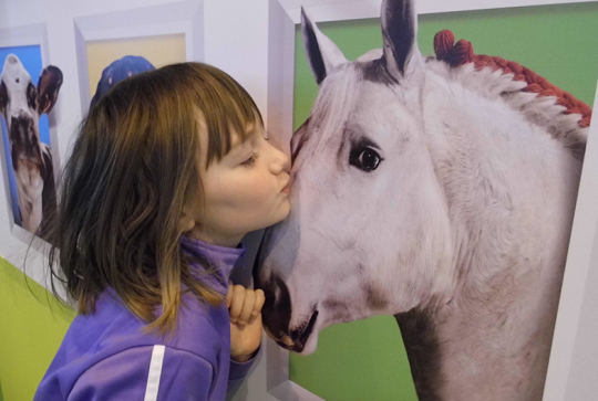 salon agriculture 2013