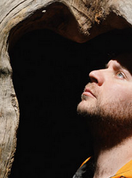 Le Son de la sève - Benoit Sicat