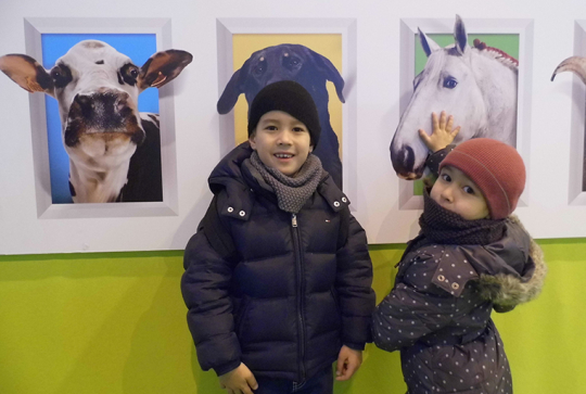 salon agriculture 2013