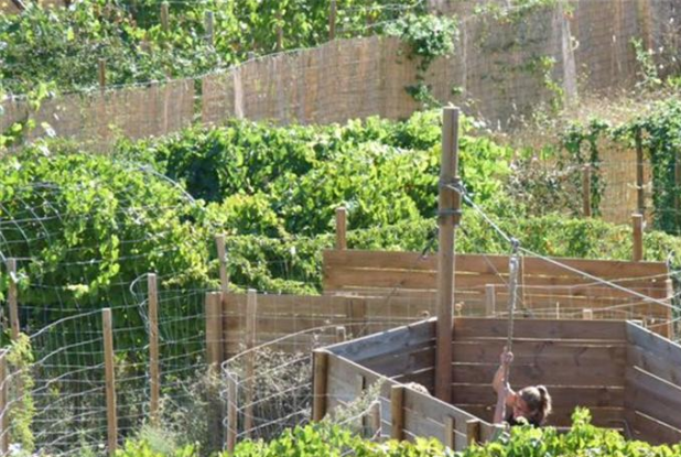 Teraventure : la tyrolienne