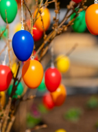 Chasse à l'œuf dans la ville de Lannoy : des œufs colorés dans les arbres