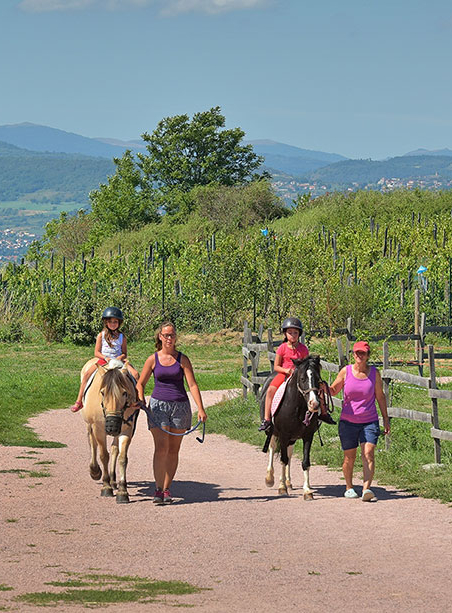 Ferme pédagogique de la Moulerette