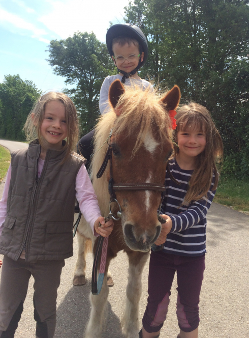 Stage équitation Alezane 2-6 ans