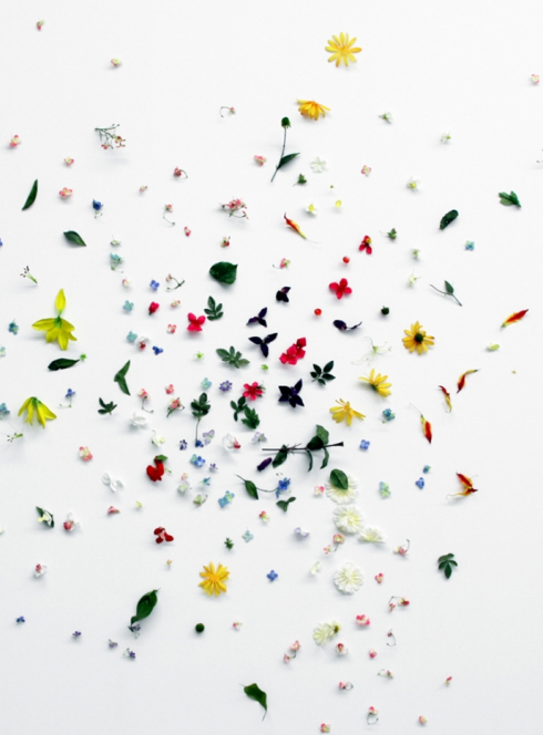 Expo Comme un boomerang