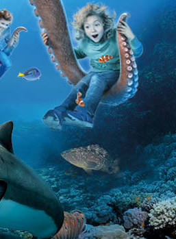 Profitez des grandes marées au Grand Aquarium de St Malo