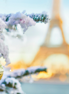 Une croisière sur la Seine pour le réveillon de Noël et du Nouvel An