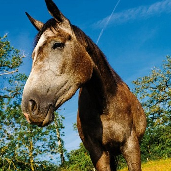 Vacances en famille : un petit coin de paradis en Aveyron