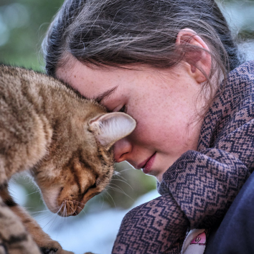 Mon Chat et Moi : câlin du chat