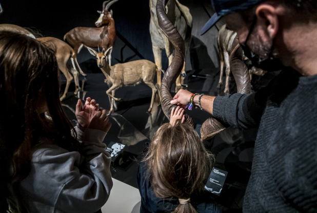 Musée des Confluences : Toucher