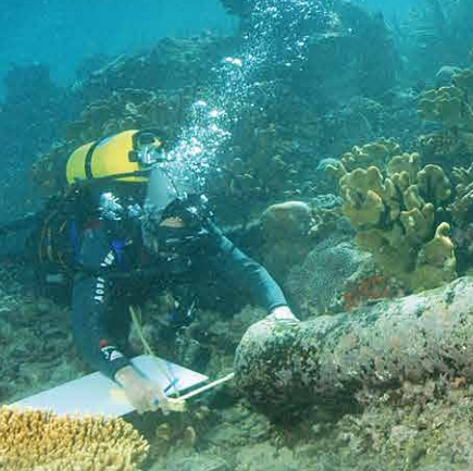 Expo : Mémoire à la mer
