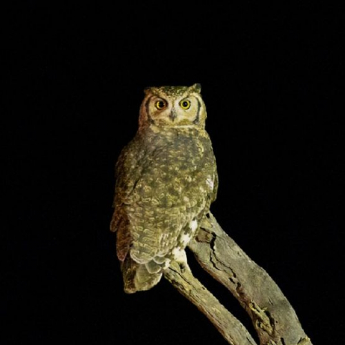 Balade crépuscule : le puy de l'Enfer et la Narse d'Espinasse