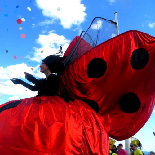 Bouton d'Or - Cie Biloba