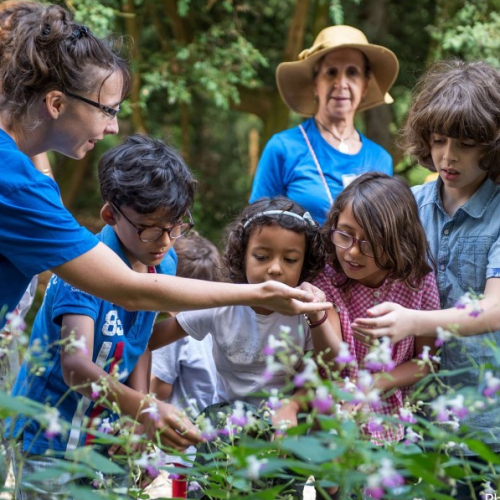 Nuits des forêts à Rennes