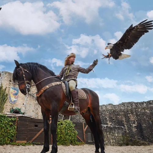 Les Aigles des Remparts à Provins : cheval et aigle