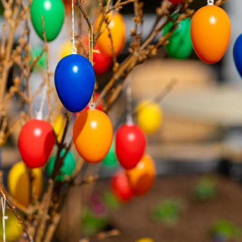Chasse à l'œuf dans la ville de Lannoy : des œufs colorés dans les arbres
