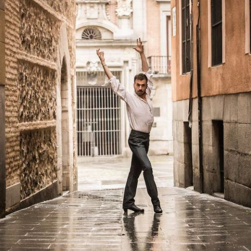 Festival Flamenco Toulouse : danseur