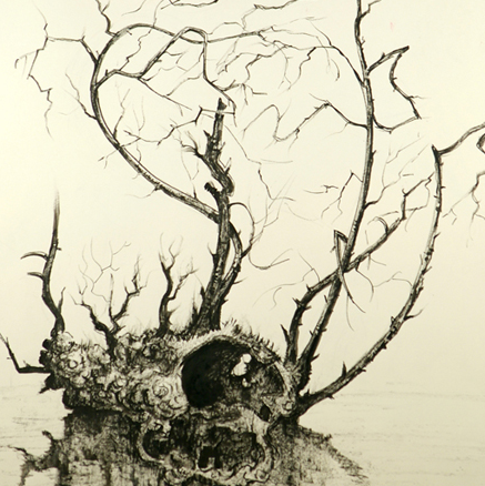 L'esprit des bois, Odette Camp